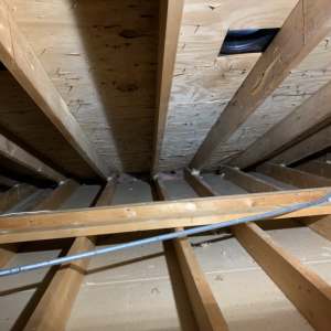 Mold Removal